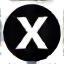 X social media icon